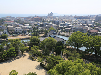 今治市航空写真